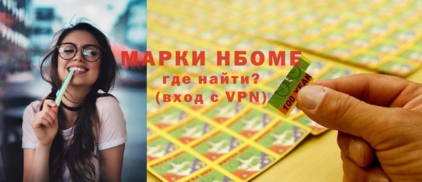индика Сосновоборск