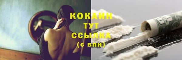 PSILOCYBIN Сосновый Бор