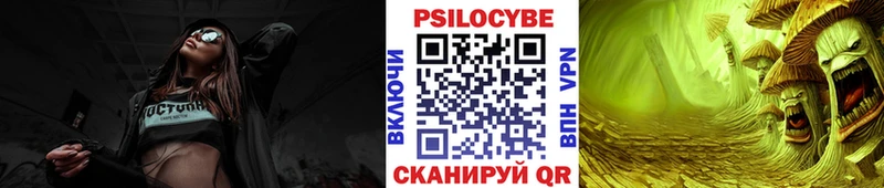 Псилоцибиновые грибы мицелий  Купить  Реж 